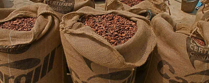 Бельгийский шоколад Cargill или Callebaut Бельгийский шоколад Cargill или Callebaut